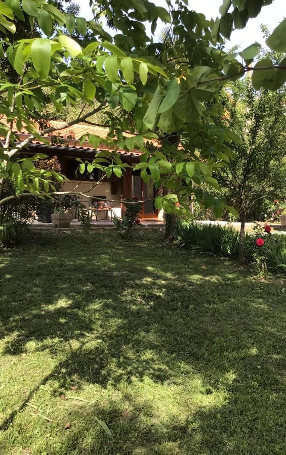 Le Gite De Gascogne Lectoure Esterno foto