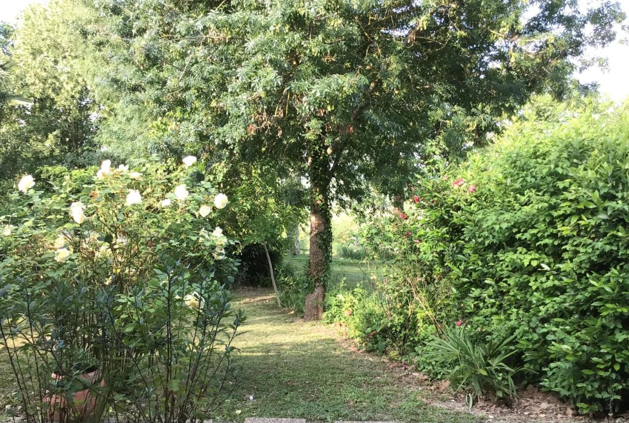 Le Gite De Gascogne Lectoure Esterno foto